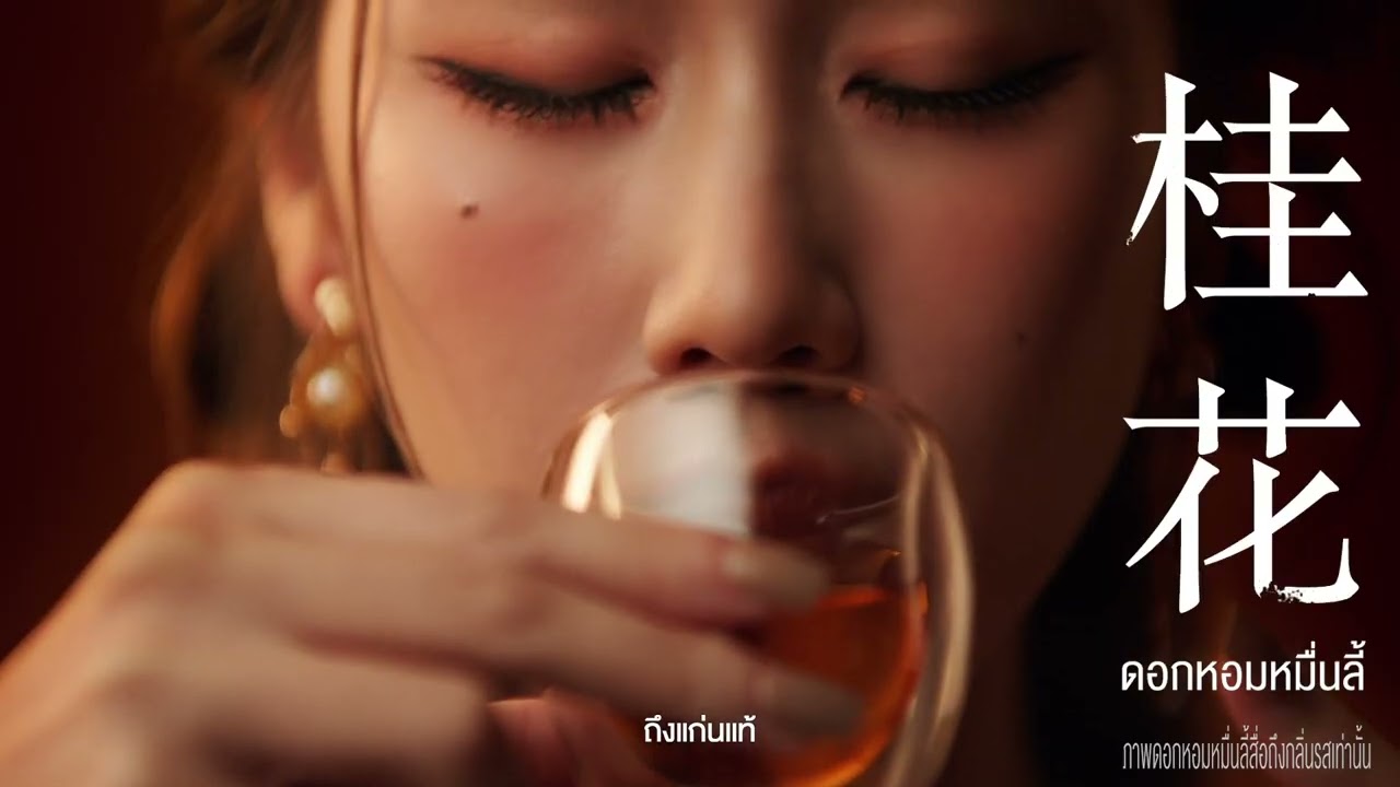 CHA JING เปิดประสบการณ์ด้านประสาทสัมผัสใหม่ ถึงแก่นแท้ของ ชาผู่เอ๋อร์ ชาจีนโบราณ  (CH.Version)