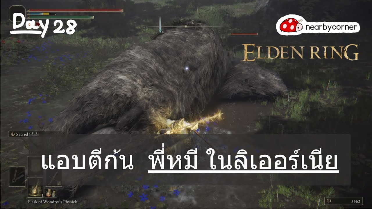 Fulminating Runebear วินนี่เดอะพูห์ ในป่าร้อยเอเคอร์ (Vs. Liurneer Runebear) - Elden Ring ...
