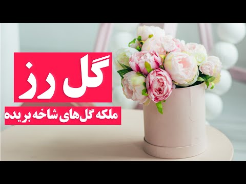 تصویری: نحوه افزایش عمر گلهای شاخه بریده