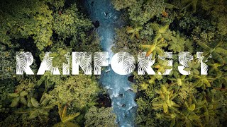 'Rainforest' | Costa Rica Documentary