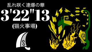 MHWI(PS5) 猛り爆ぜるブラキディオス 大剣ソロ 3'22