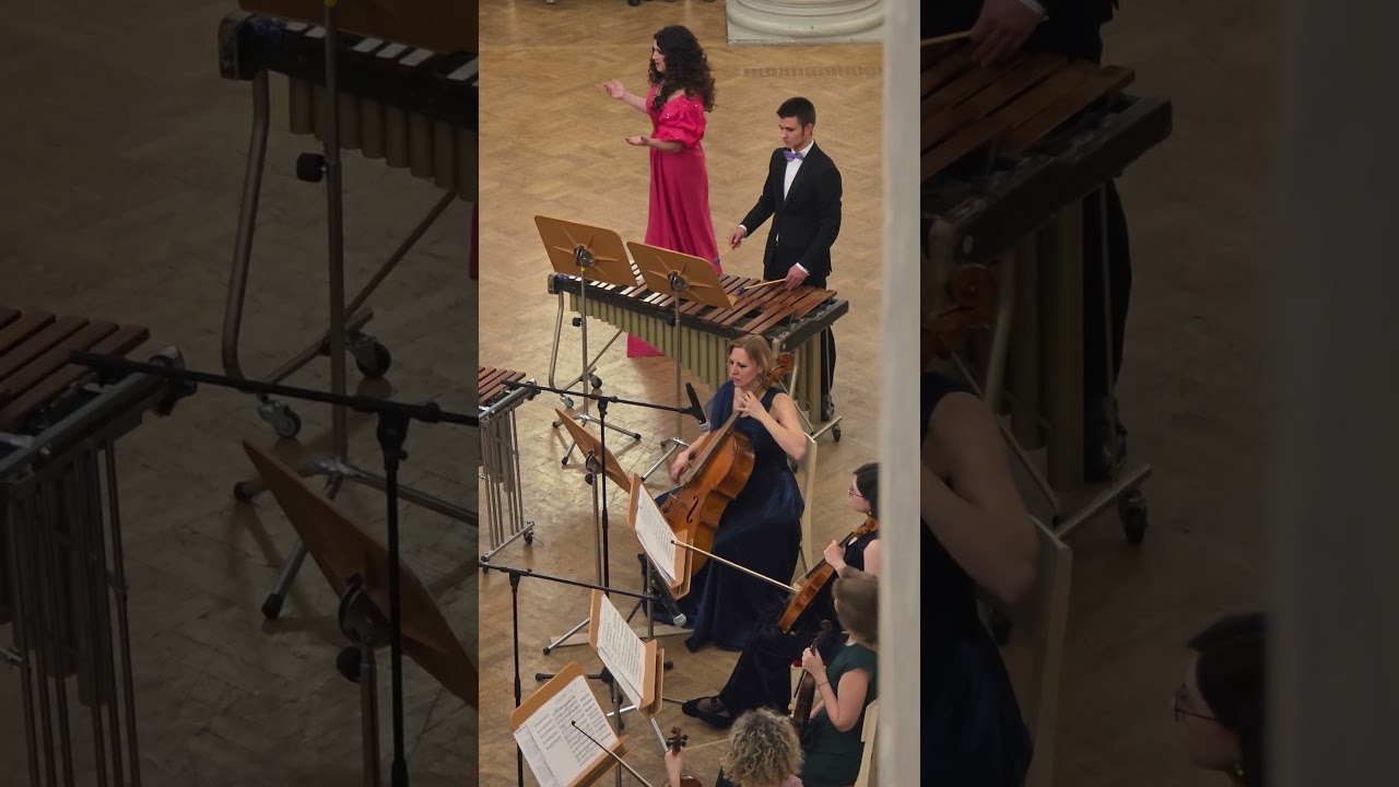 "MarimbaMix". Концерт в БЗФ. 07.02.2026. @marimbamix