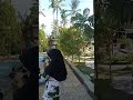 mudik k pekanbaru