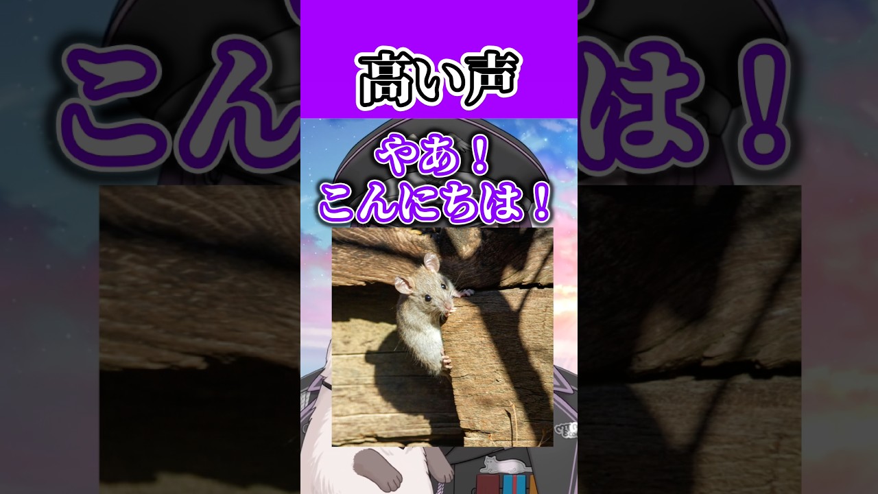 高い声が出ます #vtuber #雑談 #ゲーム実況