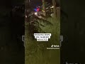 BREAKING NEWS, HON. NAMEERE ABDUCTED #uganda #bobiwine #shorts #shortvideo