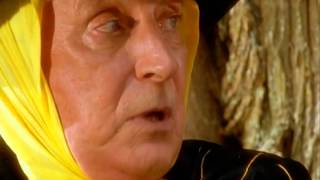 Alice Through The Looking Glass 1998 - The Wasps Wig