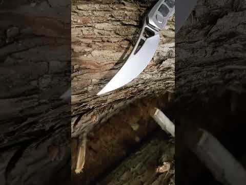 Sharp Saturday