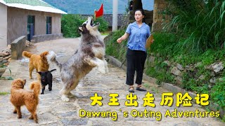 Dawang's Outing Adventures