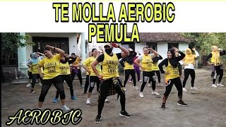 #djtemolla  DJ TE MOLLA AERODANCE//KHUSUS UNTUK PEMULA MURNI