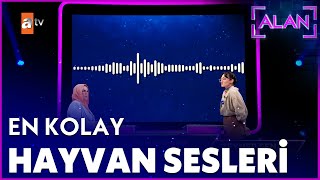 O Hayvan Sesini Bilemedi - Alan 3. Bölüm