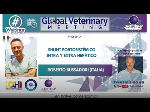 Shunt portosistémico intra y extra hepático   Dr. Roberto Bussadori -  Dr. Claudio Bussadori