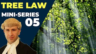 Can I Cut Off Overhanging Branches | Tree Law Miniseries Part 5 | BlackBeltBarrister
