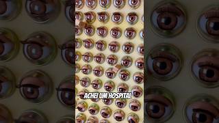 HOSPITAL DE BONECAS MAIS ASSUSTADOR barbie medo shorts