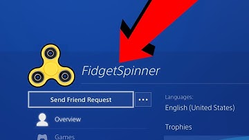 Looking at FIDGET SPINNER PS4 PROFILE!