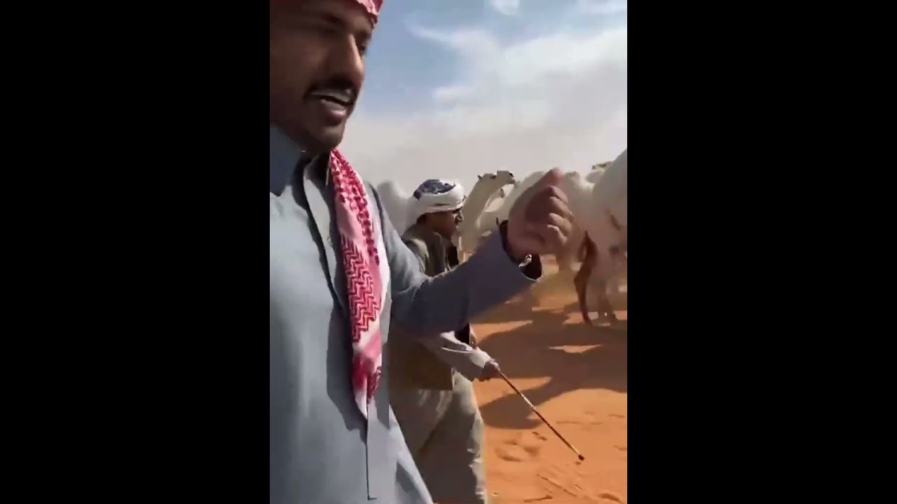 مصيحات الوضح الحاصلة على سيف الملك لمالكها موسى ابن محمد الموسى الدوسري 