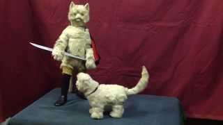 Cat Automata - Puss in Boots