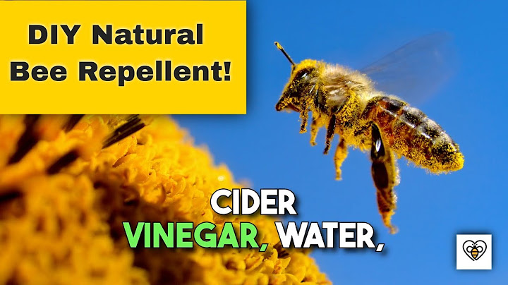 DIY Natural Bee Repellent: Keep Bees at Bay the Eco-friendly Way!