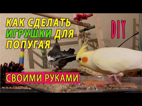 Видео: Кукурузный лабиринт своими руками – Как вырастить кукурузный лабиринт своими руками