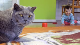 Baby and Cat exercising