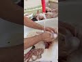 طريقة تنظيف دجاج الحي لتحشاء من الداخل Elfannmashaher طريقة تنظيف دجاج الحي لتحشاء من الداخل Elfannmashaher