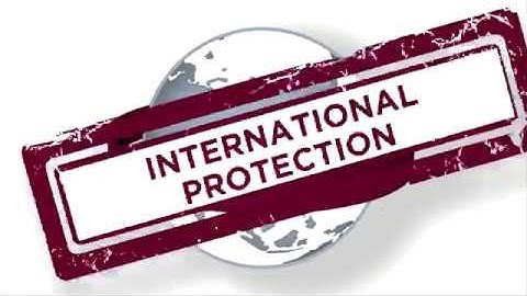 International Trademark Registration (Madrid Protocol)