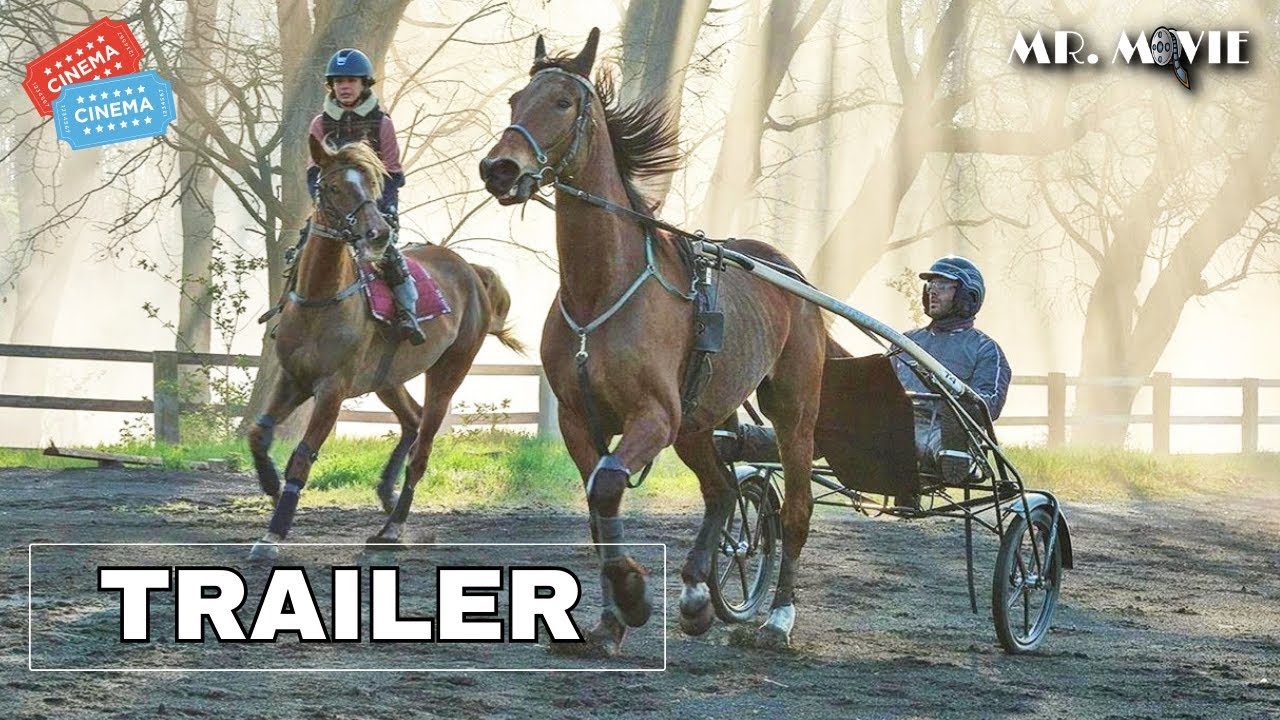 IL MIO AMICO TEMPESTA (2023) Trailer ITA del Film D'avventura per Famiglie Al Cinema YouTube IL MIO AMICO TEMPESTA (2023) Trailer ITA del Film D'avventura per Famiglie Al Cinema YouTube