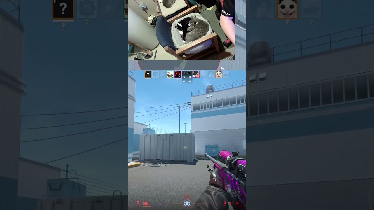  Nah Foresters Cheating Bro My Teammates Theforester1 On Twitch