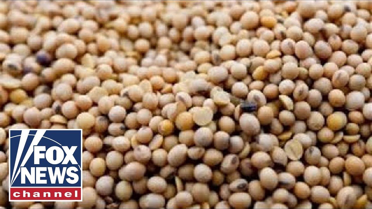 How would a trade war with China impact US soybean farmers?