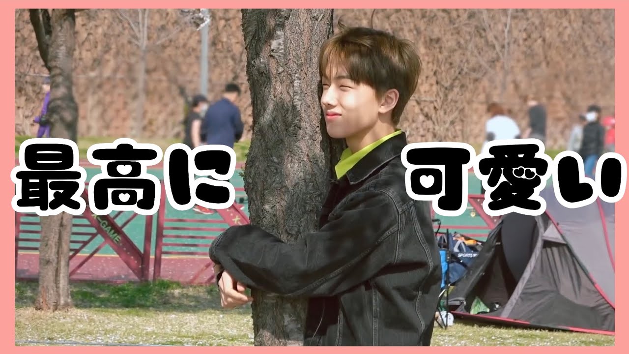 ただチソンが可愛い動画 (feat.チソン強火ペン) [NCT DREAM] [日本語字幕]