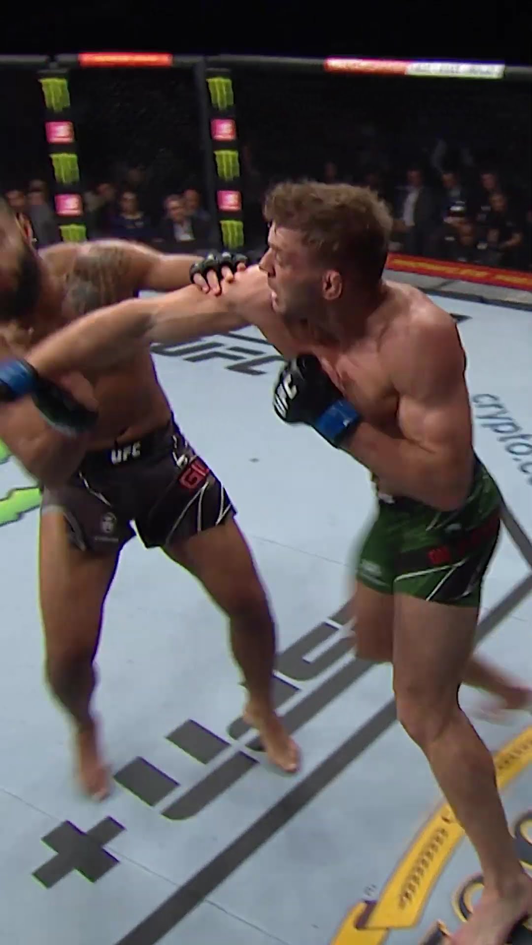 Dricus Du Plessis ☠️ #ufc312