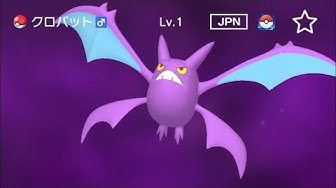 クロバット Youtube クロバット Youtube
