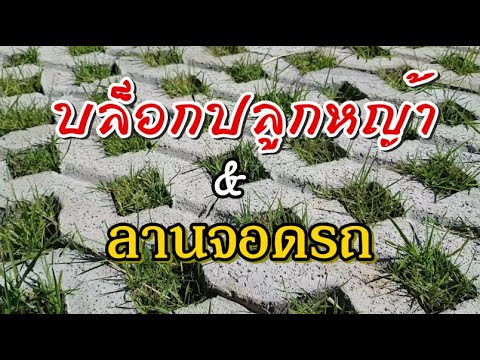 วีดีโอ: การสร้างสนามหญ้าบนหลังคาสำหรับที่จอดรถในภูเขาออสเตรีย