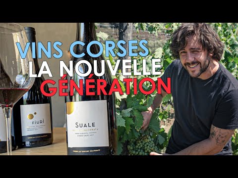 Image du reportage Vins Corses : domaines de rêve et nouvelle génération de vignerons ! (Ministry of FrenchFood)