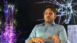 Simulations Hint at the Origin of Brain Waves