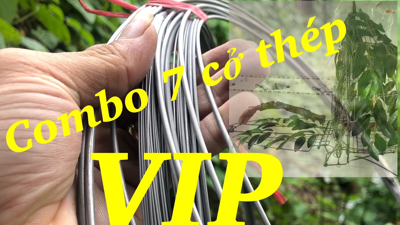 Combo 7 loại thép chuyên nghiệp cho người tập chơi . Liên hệ 0839.098.198 ( Zalo )