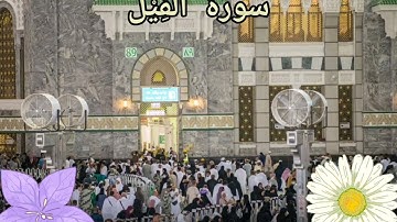 تلاوة هادئة سورة الفيل