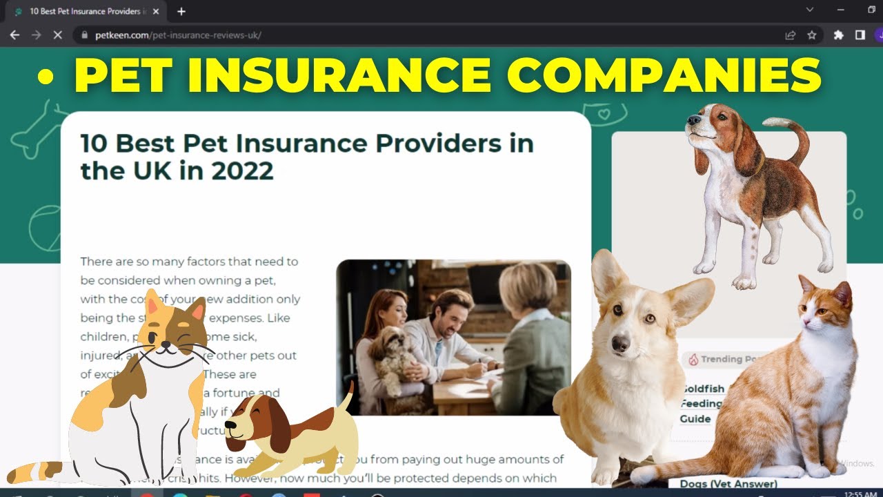 Pet Insurance Providers in the UK in 2022 - Petsure insurance for dogs