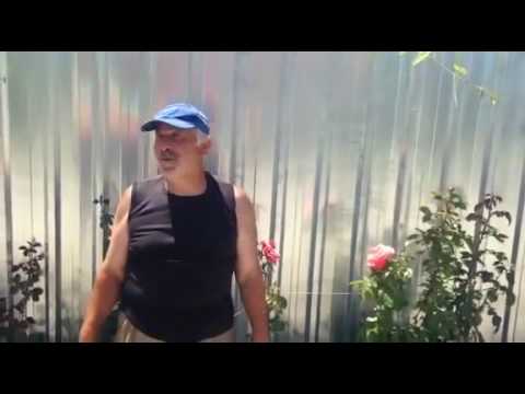 დევნილების დასახლება