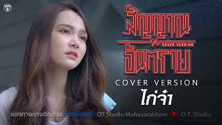 สัญญาณอันตราย - ต่าย อรทัย [Cover version ไก่จ๋า]