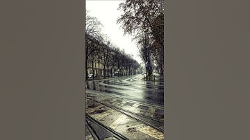 Gloomy City Rain on Asphalt ⛈️ Distant Thunder Sounds for Deep Focus, Sleep & Study