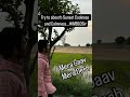 #time with #nature at #mera #gaav #imb10sir