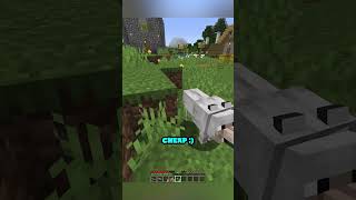 the hunt for chickens #gaming #⁠youtube #funny #minecraft #memes #tiktok #shorts #ytshorts