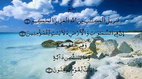 سورة الجاثية//لفضيلة الشيخ محمد أبو سنينة
