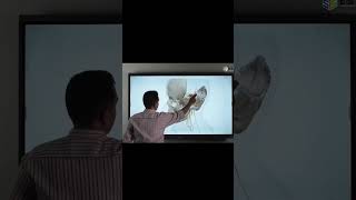 ITA TOUCH INTERACTIVE SCREEN