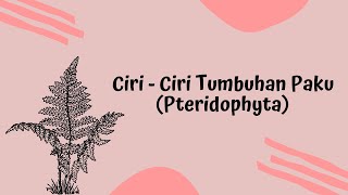 Ciri-Ciri Tumbuhan Paku Pteridophyta, Materi Biologi Kingdom Plantae