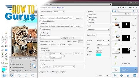 How You Can Batch Rename Pictures with Photoshop Elements