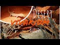 NATURAL VIVARIUM BUILD | Desert Habitat for Tropiocolotes Steudneri