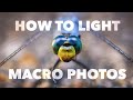 Macro Photography Lighting Tutorial