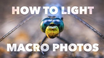 Macro Photography Lighting Tutorial