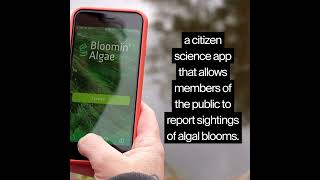 Bloomin Algae: A citizen science app to report algal blooms